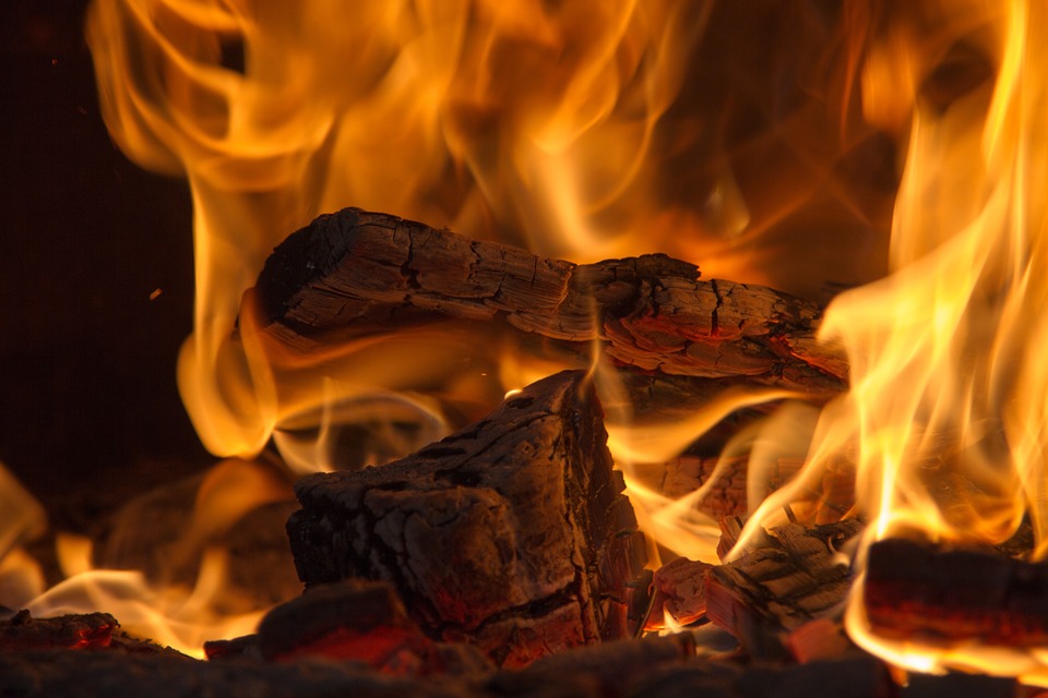 Blog | Bio- oder Elektro-Kamin? Bio- oder Elektro-Kamin?