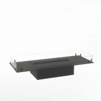 Foco Myst Free 1000 Foco By Bio Fireplace Group